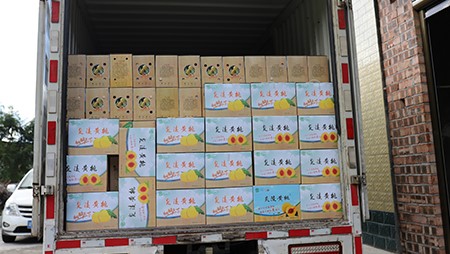 助銷(xiāo)黃桃社會(huì )扶貧，關(guān)愛(ài)員工送高溫福利